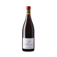 ST NICOLAS DE BOURGUEIL -...