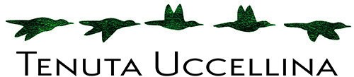 TENUTA UCCELLINA