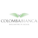 COLOMBA BIANCA